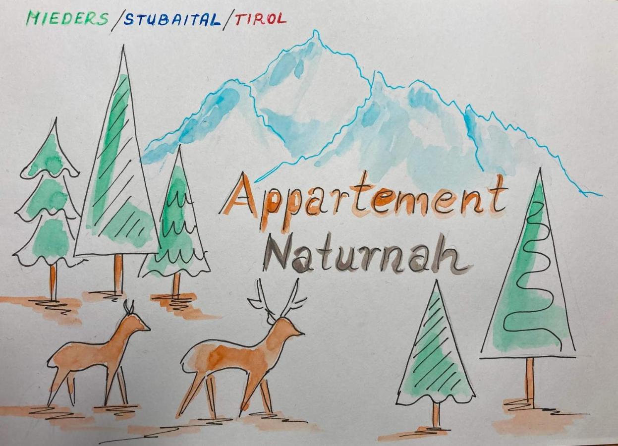 Appartement Naturnah Mieders Esterno foto